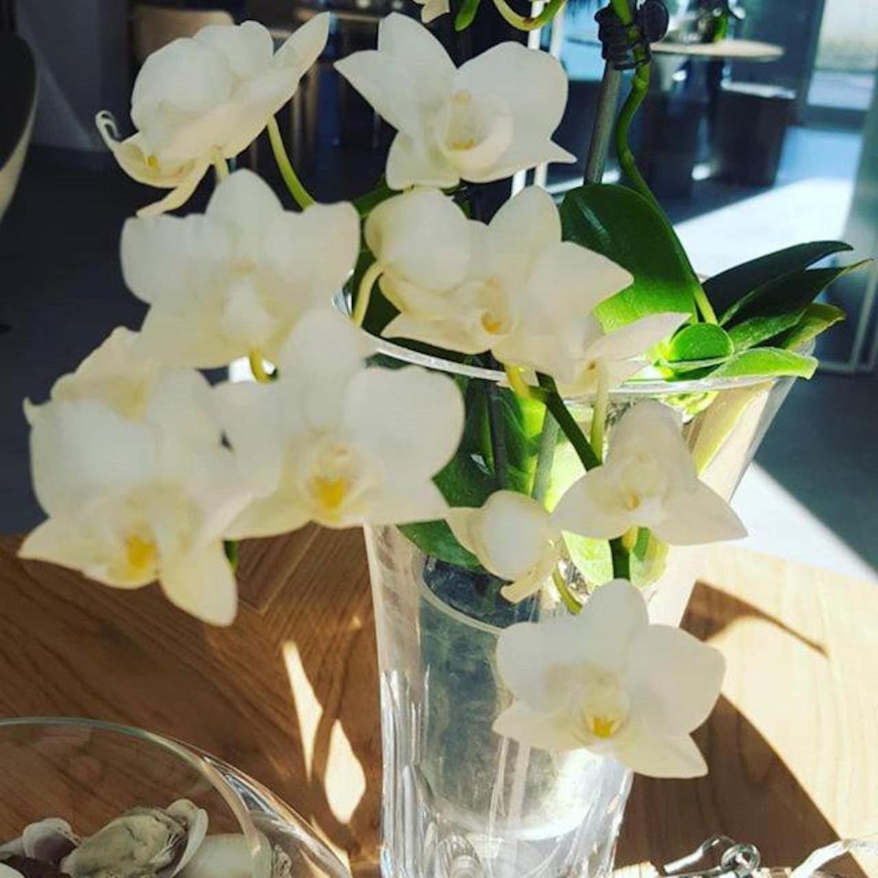 Hotel Villa Barsanti Pietrasanta Zewnętrze zdjęcie