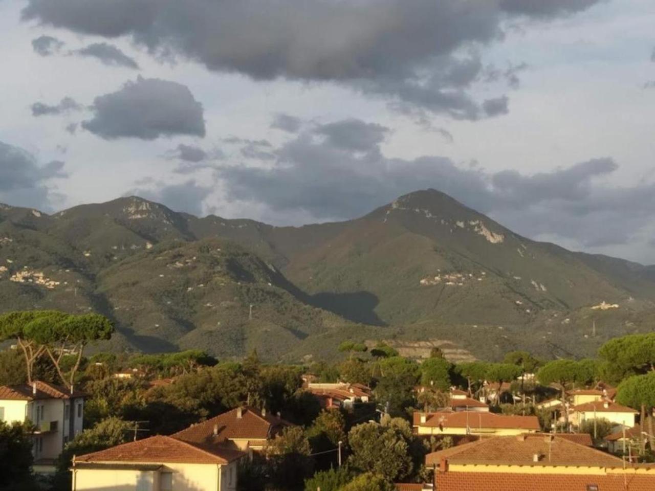 Hotel Villa Barsanti Pietrasanta Zewnętrze zdjęcie